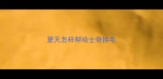 夏天怎样帮哈士奇换毛