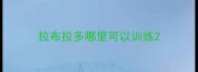 拉布拉多哪里可以训练