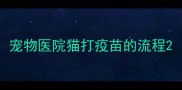宠物医院猫打疫苗的流程