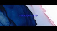 小狗关起来一直叫