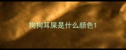 狗狗耳屎是什么颜色