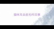 猫咪耳朵脱毛咋回事