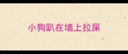 小狗趴在墙上拉屎