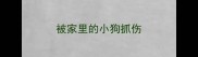 被家里的小狗抓伤