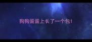 狗狗蛋蛋上长了一个包