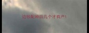 边牧配种后几个才有产