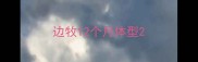 边牧12个月体型