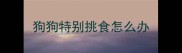 狗狗特别挑食怎么办
