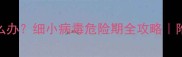 幼犬突发细小怎么办细小病毒危险期全攻略附24小时抢救指南