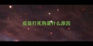 疫苗打死狗是什么原因