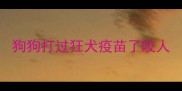 狗狗打过狂犬疫苗了咬人
