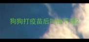 狗狗打疫苗后叫他不理