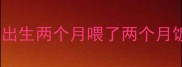 幼犬出生两个月喂了两个月饭菜