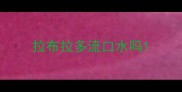 拉布拉多流口水吗