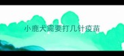 小鹿犬需要打几针疫苗