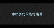体质弱的狗能打疫苗