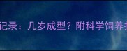 边境牧羊犬成长全记录几岁成型附科学饲养指南附对比图