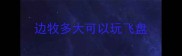 边牧多大可以玩飞盘
