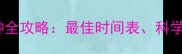 巴哥犬疫苗接种全攻略最佳时间表科学指南与注意事项