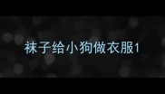 袜子给小狗做衣服