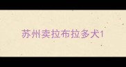 苏州卖拉布拉多犬