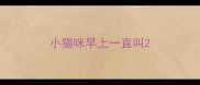 小猫咪早上一直叫