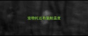 宠物托运有氧舱温度