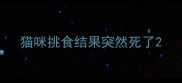 猫咪挑食结果突然死了