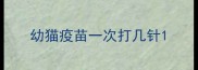 幼猫疫苗一次打几针