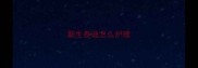 新生泰迪怎么护理