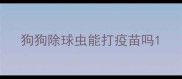 狗狗除球虫能打疫苗吗