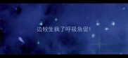 边牧生病了呼吸急促