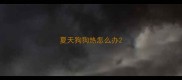 夏天狗狗热怎么办