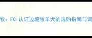 红陨石边牧FCI认证边境牧羊犬的选购指南与饲养全攻略
