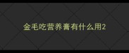 金毛吃营养膏有什么用