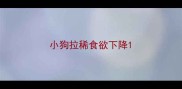 小狗拉稀食欲下降