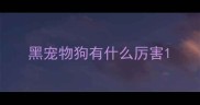 黑宠物狗有什么厉害