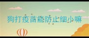 狗打疫苗能防止细小嘛