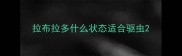 拉布拉多什么状态适合驱虫