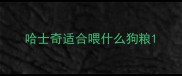 哈士奇适合喂什么狗粮