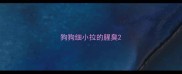 狗狗细小拉的腥臭