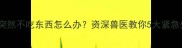 母哈士奇突然不吃东西怎么办资深兽医教你5大紧急处理步骤