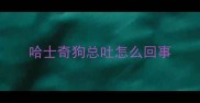 哈士奇狗总吐怎么回事