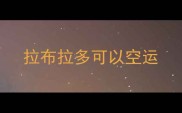 拉布拉多可以空运