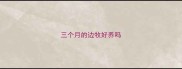 三个月的边牧好养吗