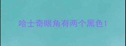 哈士奇眼角有两个黑色