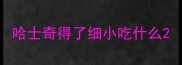 哈士奇得了细小吃什么