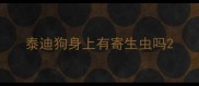 泰迪狗身上有寄生虫吗