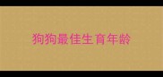 狗狗最佳生育年龄