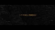 一个月的小狗呕吐